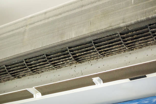 Best Best Air Duct Cleaning Company  in Tavares, FL